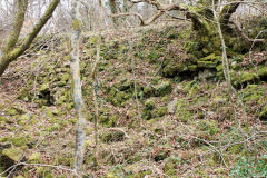 Lasgarn Railroad embankment, March 2009